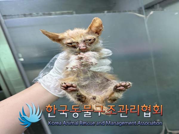 종료(자연사) 한국…